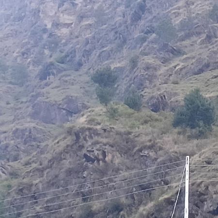 Tirthan Hilltop Home Stay Banjār Exterior foto